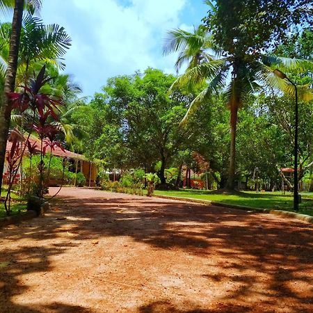 Palathra Heritage Mararikulam Exterior foto