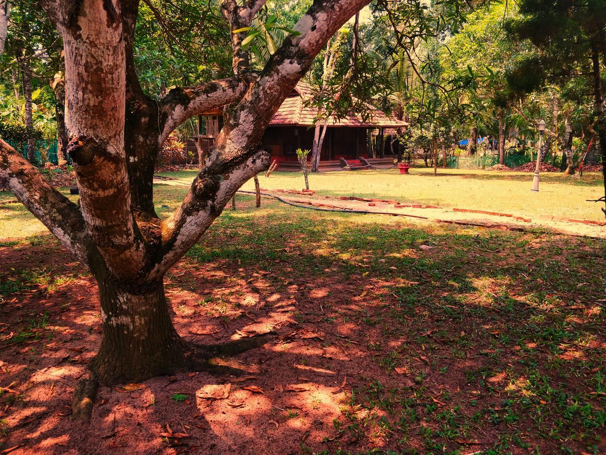 Palathra Heritage Mararikulam Exterior foto