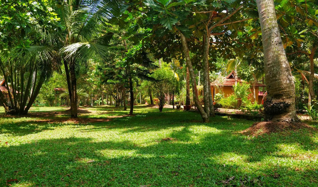 Palathra Heritage Mararikulam Exterior foto